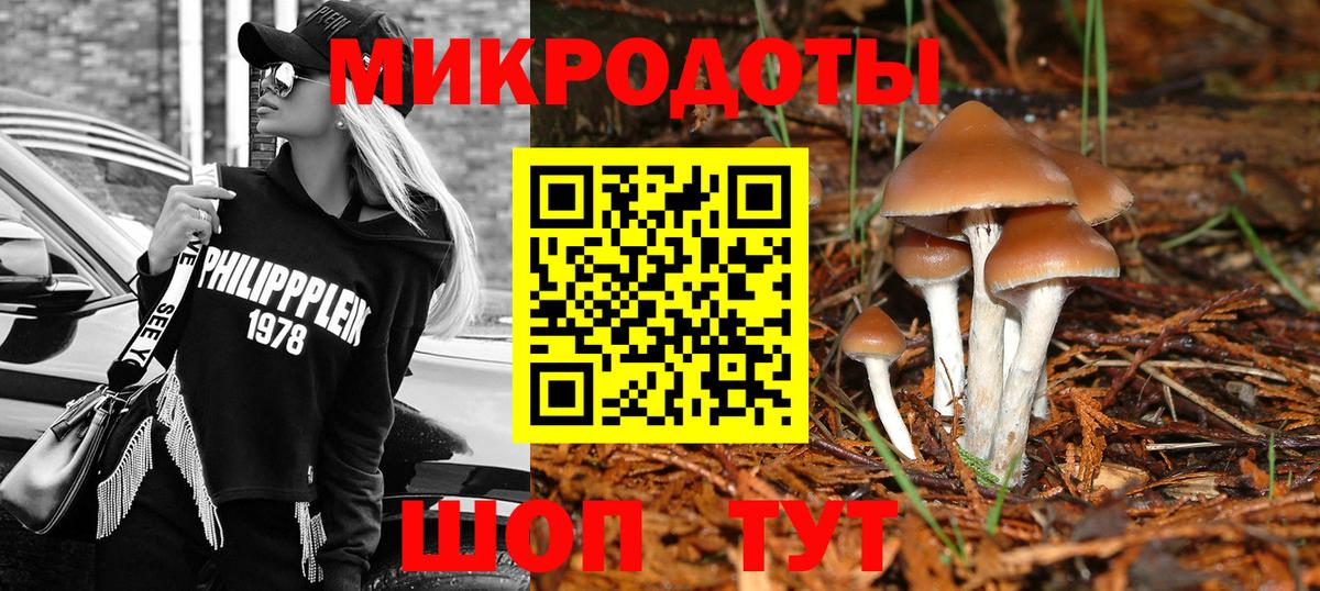 Галлюциногенные грибы Psilocybe  Псилоцибиновые грибы Cubensis  Вход с VPN  Соликамск 