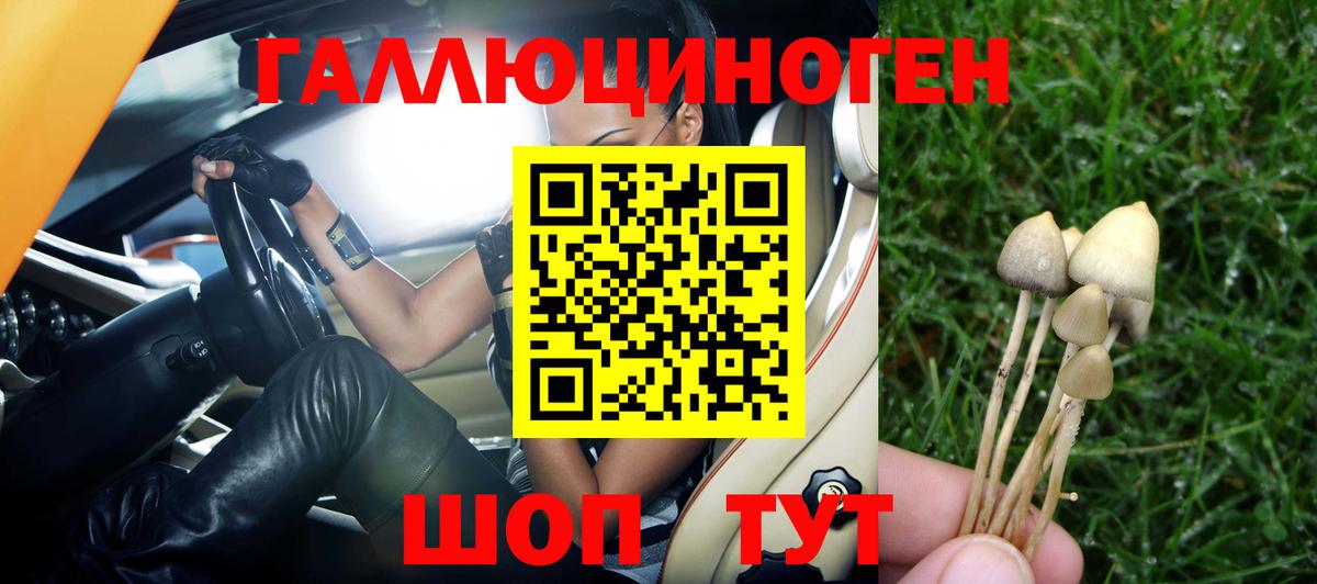 Псилоцибиновые грибы MAGIC MUSHROOMS Соликамск