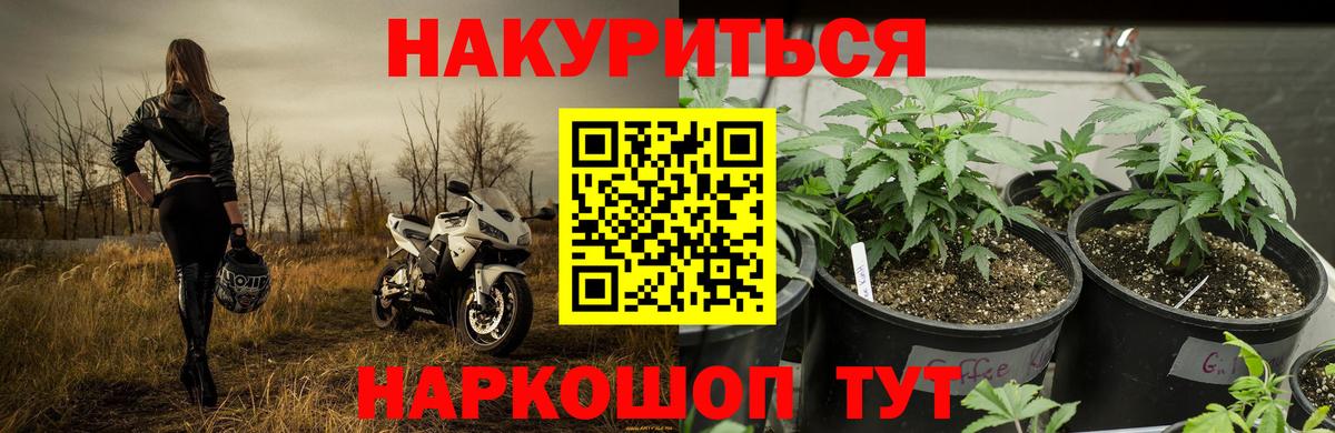 Шишки марихуана марихуана Соликамск